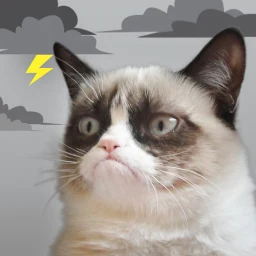 Grumpy Cat Weather のアイコン